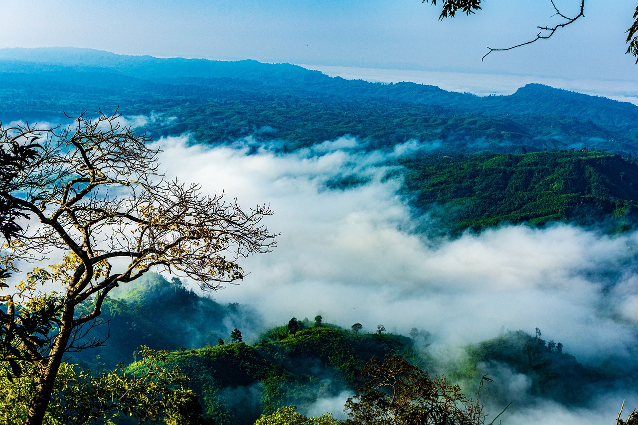 Tours & Travels: Ticketing, visa processing, and tour packages.