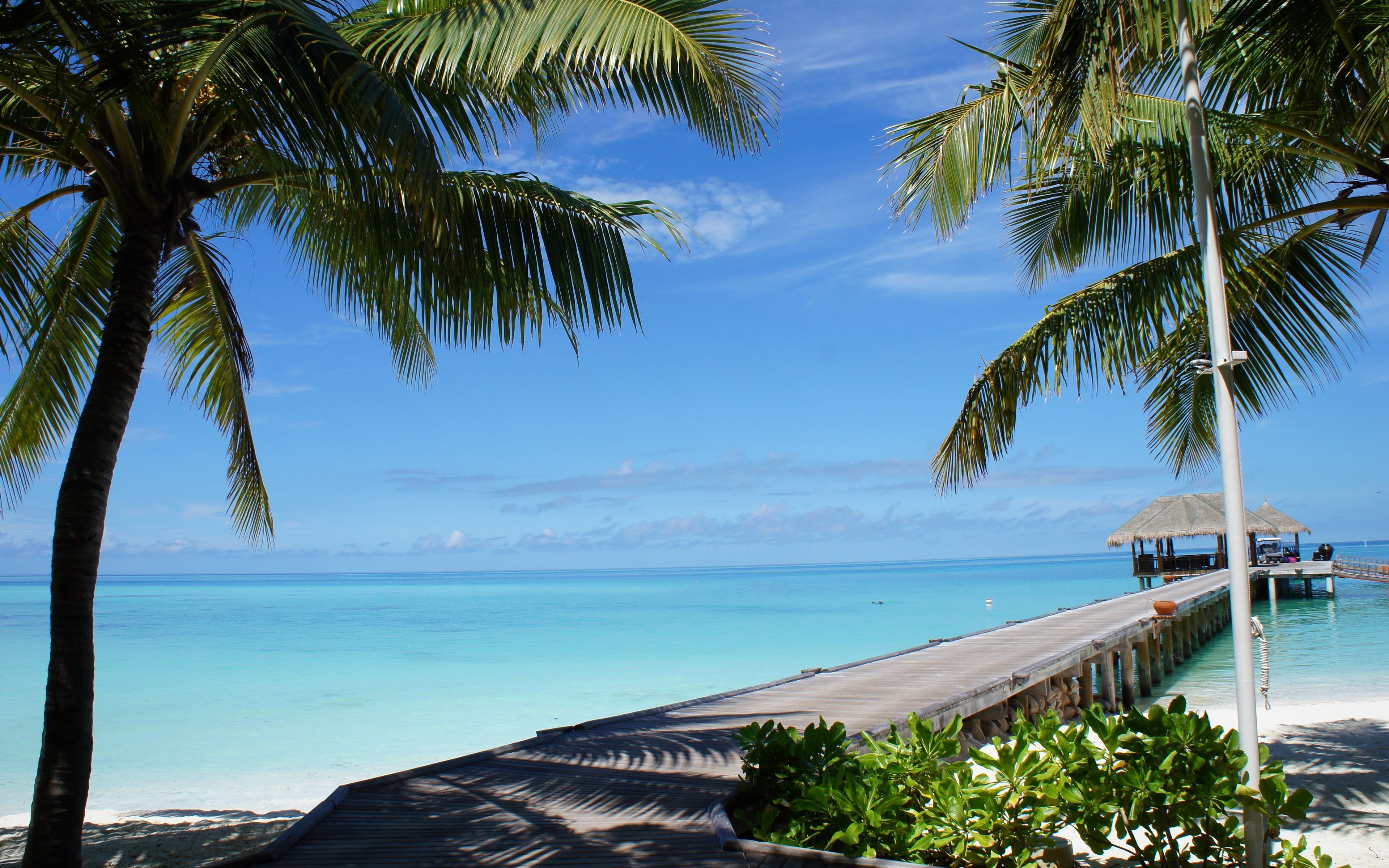 Abord Tours & Travels: Ticketing, visa processing, and tour packages